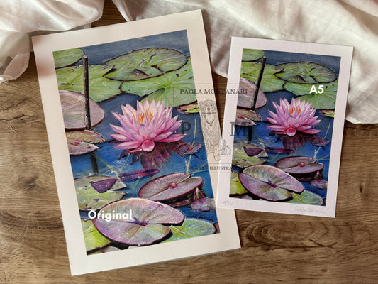 Ninfea "Pink Sensation" Stampa Artistica Edizione Limitata