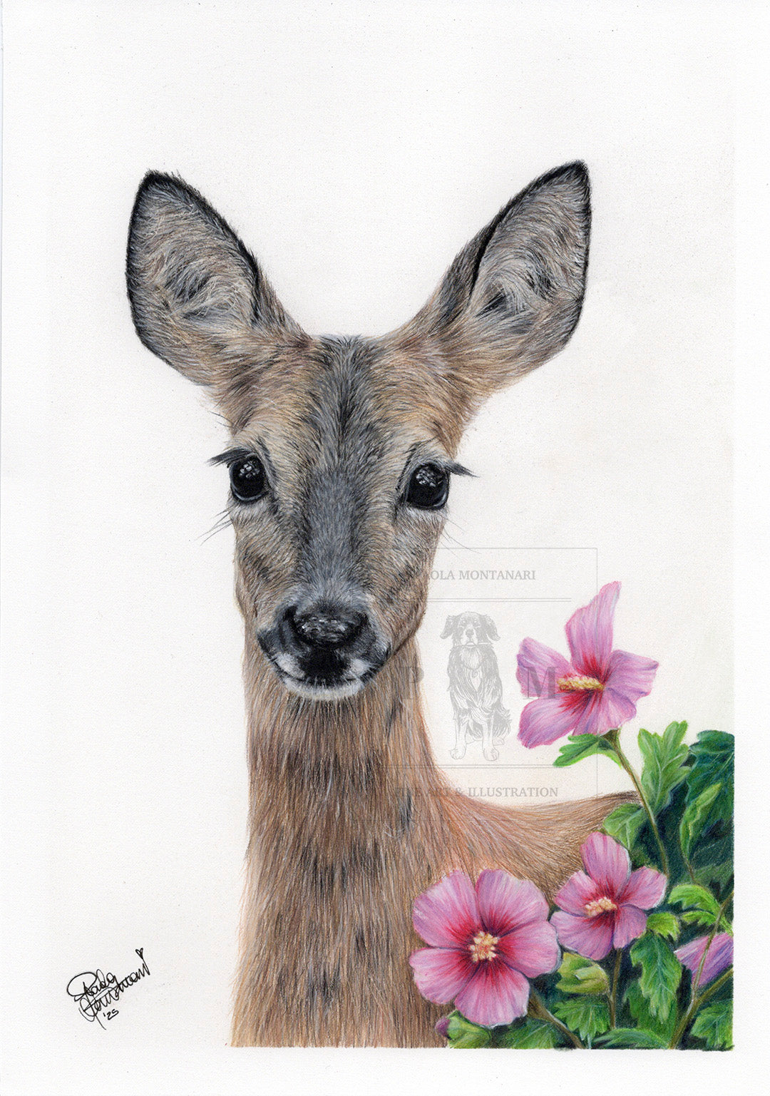 CAPRIOLO DOLCE PRIMAVERA - matite colorate su carta A4