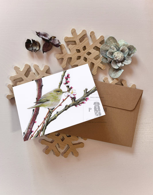 Biglietto d'auguri con stampa artistica di un Luì piccolo fra germogli di albicocco con busta