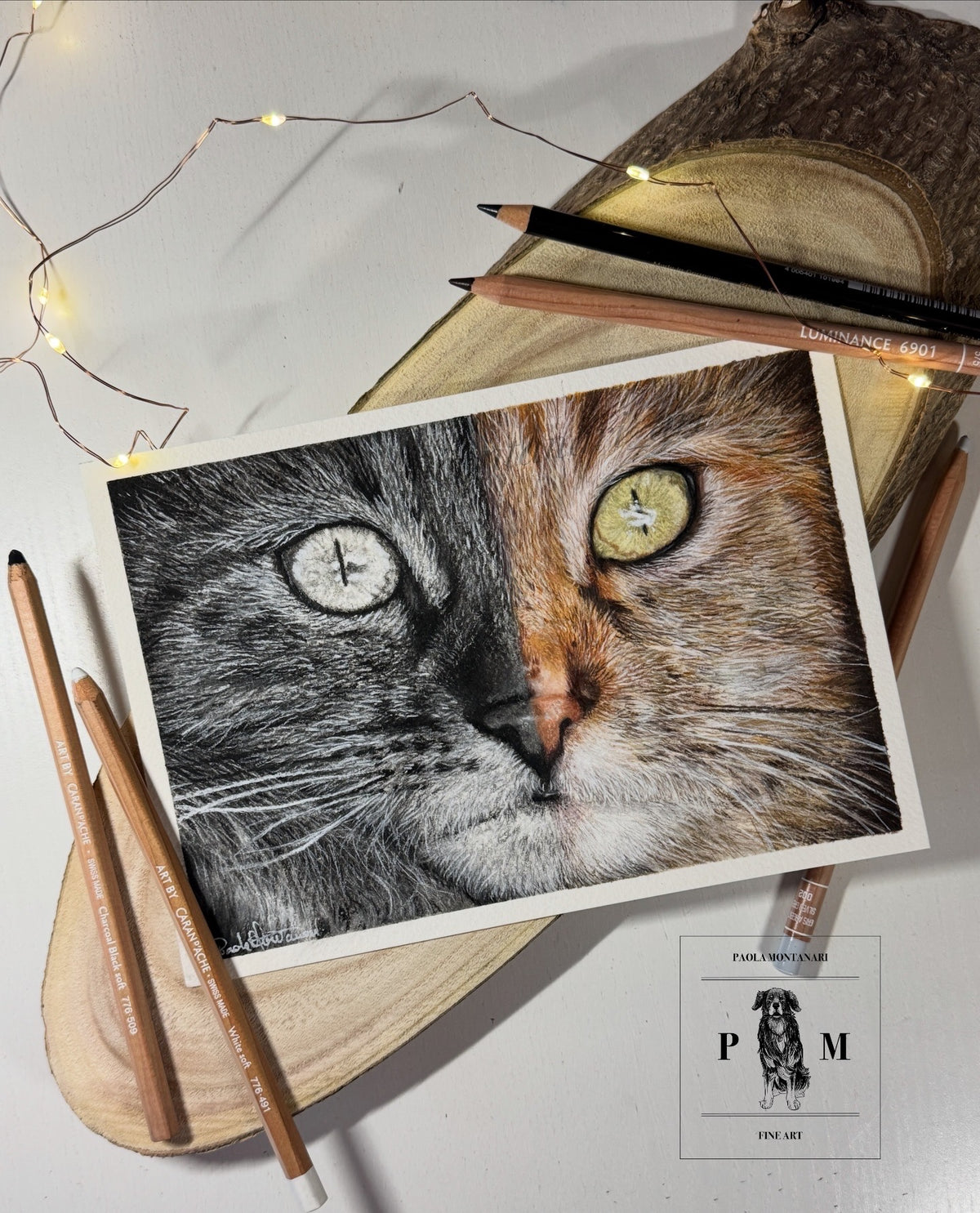 MICIA - matite colorate e carboncini su carta A5