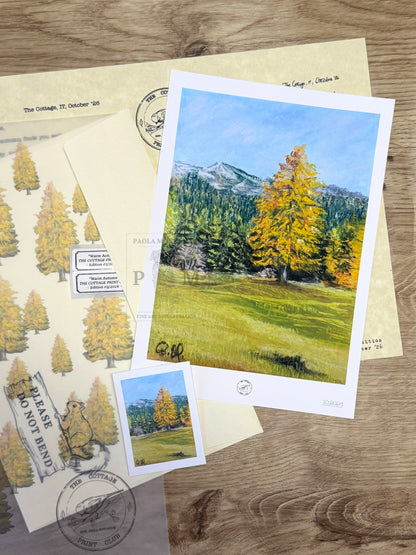 THE COTTAGE PRINT CLUB Italy
